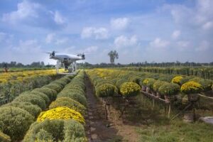 drone in the field